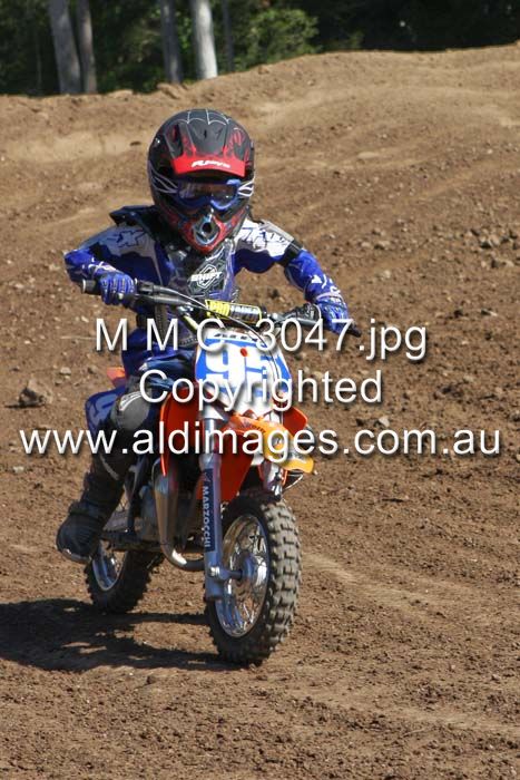 445x677 pixels (85K)